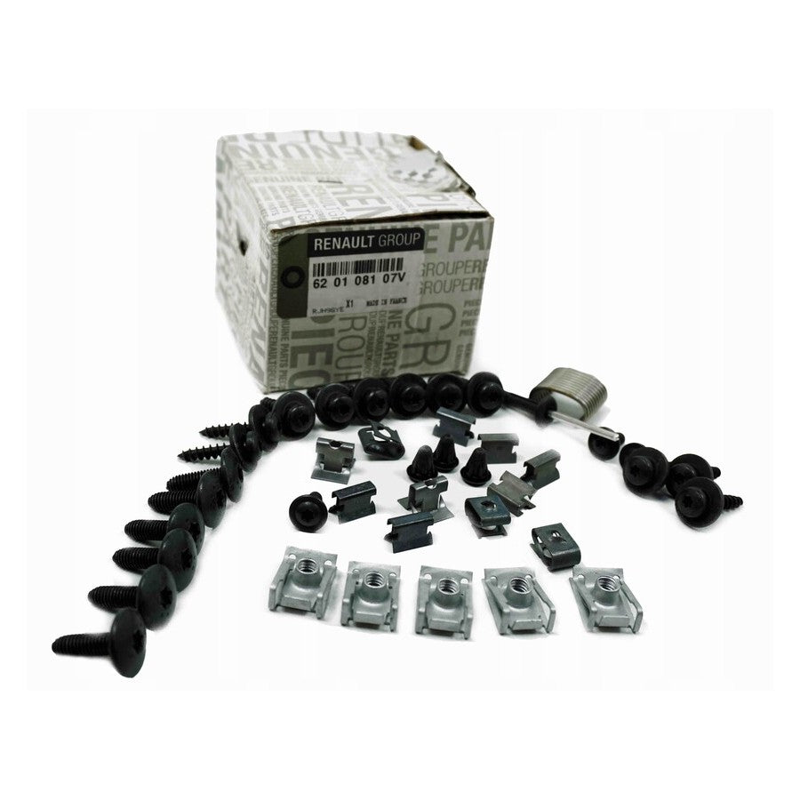 Renault 620108107V New Genuine Original Upholstery Retaining Holding Clip Set