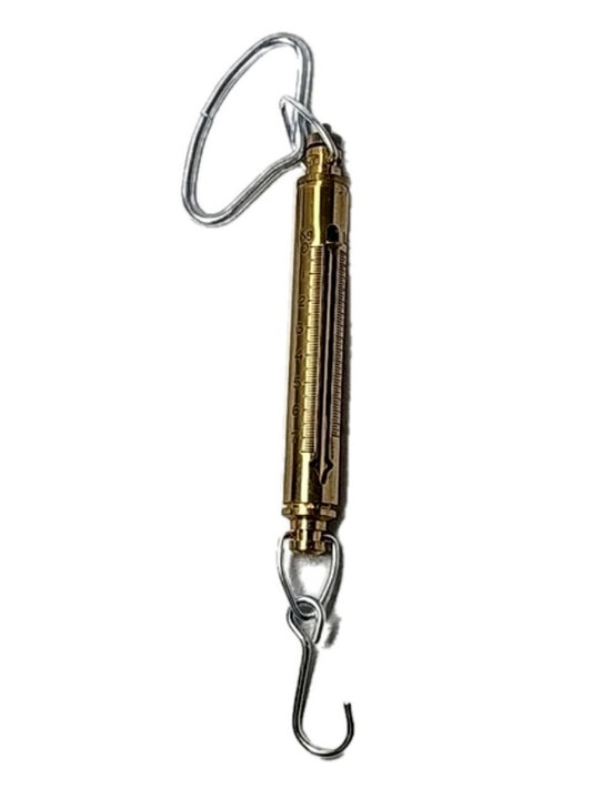 Chatillon Ametek IN-15 Heavy Gauge Brass Fishing Drag Household Hanging Scale with Pointer, 15lb (IN15, J-8129)