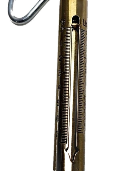 Chatillon Ametek IN-15 New Heavy Gauge Brass Fishing Drag Household Hanging Scale with Pointer, 15lb (J-8129)