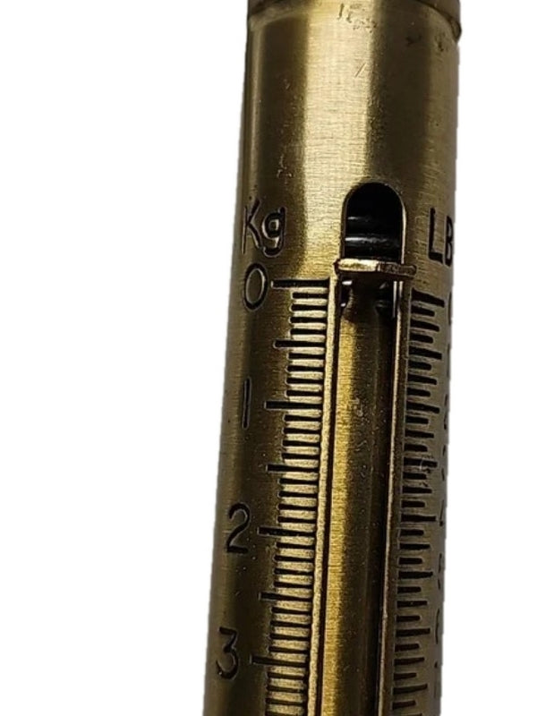 Chatillon Ametek IN-15 New Heavy Gauge Brass Fishing Drag Household Hanging Scale with Pointer, 15lb (J-8129)