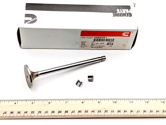 Cummins 4089761 New Genuine Original Intake Valve Kit