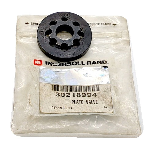 Ingersoll-Rand 30218994 Genuine Original OEM Discharge Valve Stop Plate