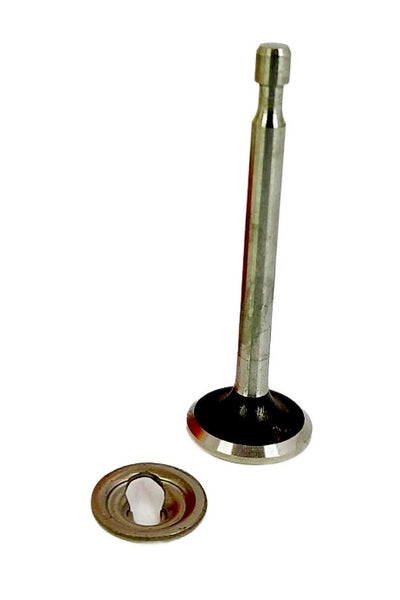 Tecumseh 293130 Genuine Original OEM Valve